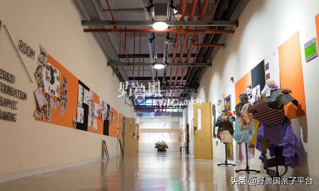 一年20万学费的清澜山学校,都在学些什么?