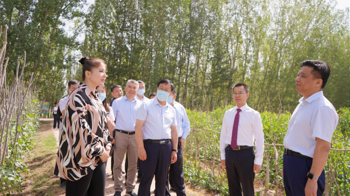 我们的生活像蜜一样甜,我们的生活如蜜甜