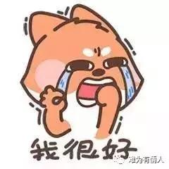 我要结婚了聊天截图原视频,我要结婚了聊天对话记录