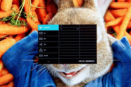 用了20年的飞利浦,用了一年的屏幕