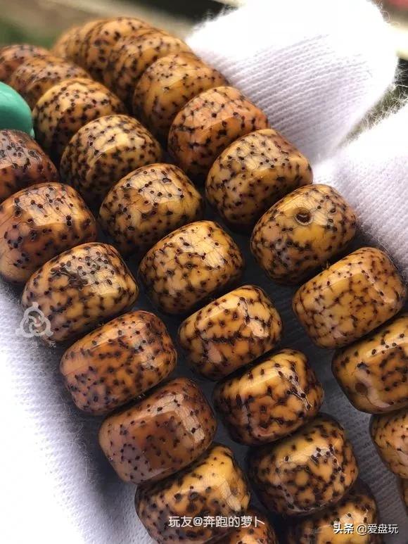 星月盘多久可开片,星月盘了几年都不开片