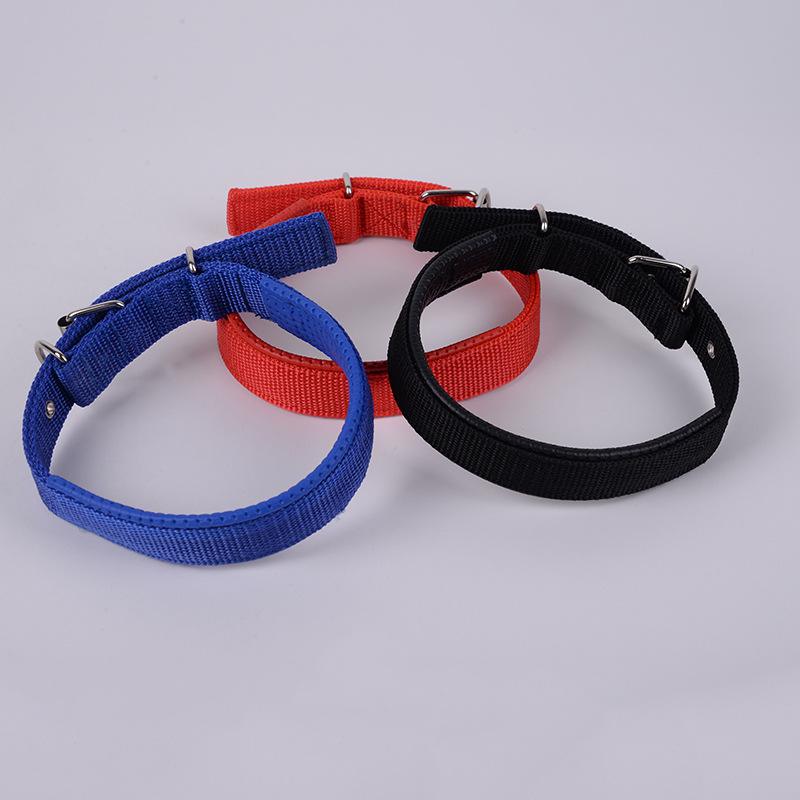 养狗新手入门必备知识,养狗知识大百科入门篇