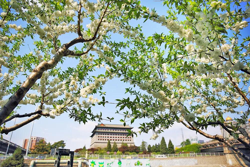 四月发生的事,东城发生的事