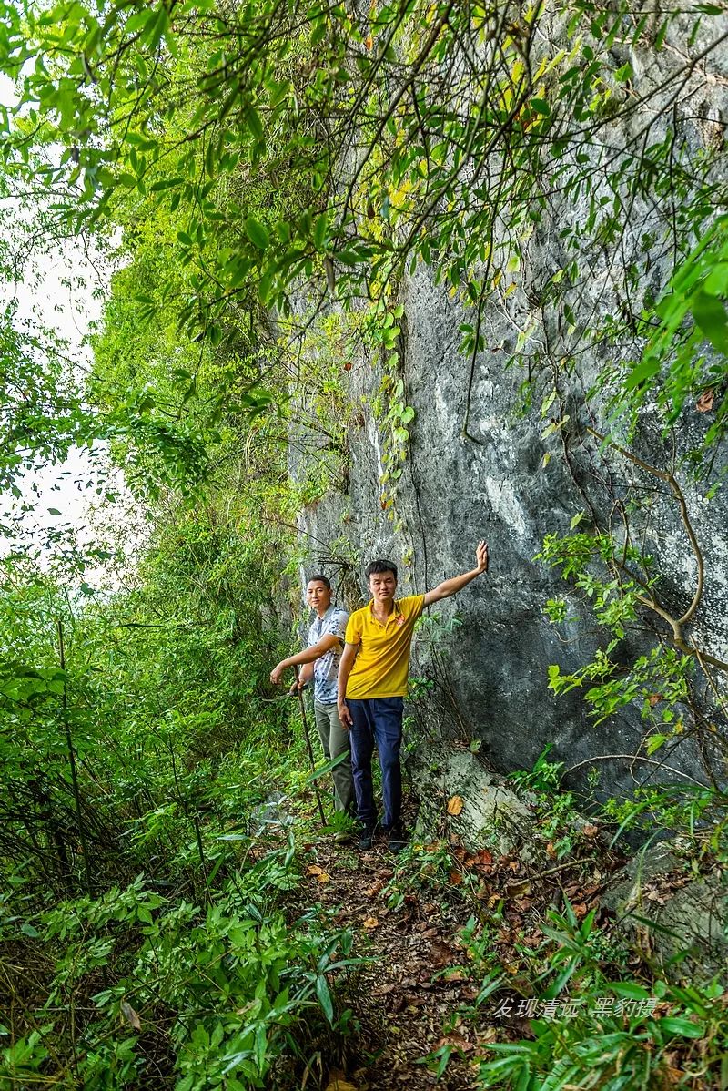 徒步穿越秦岭无人区,徒步穿越喀斯特森林