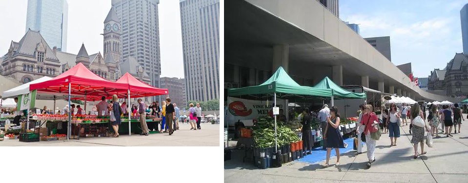 多伦多海鲜市场购物 (多伦多最有名的市场)