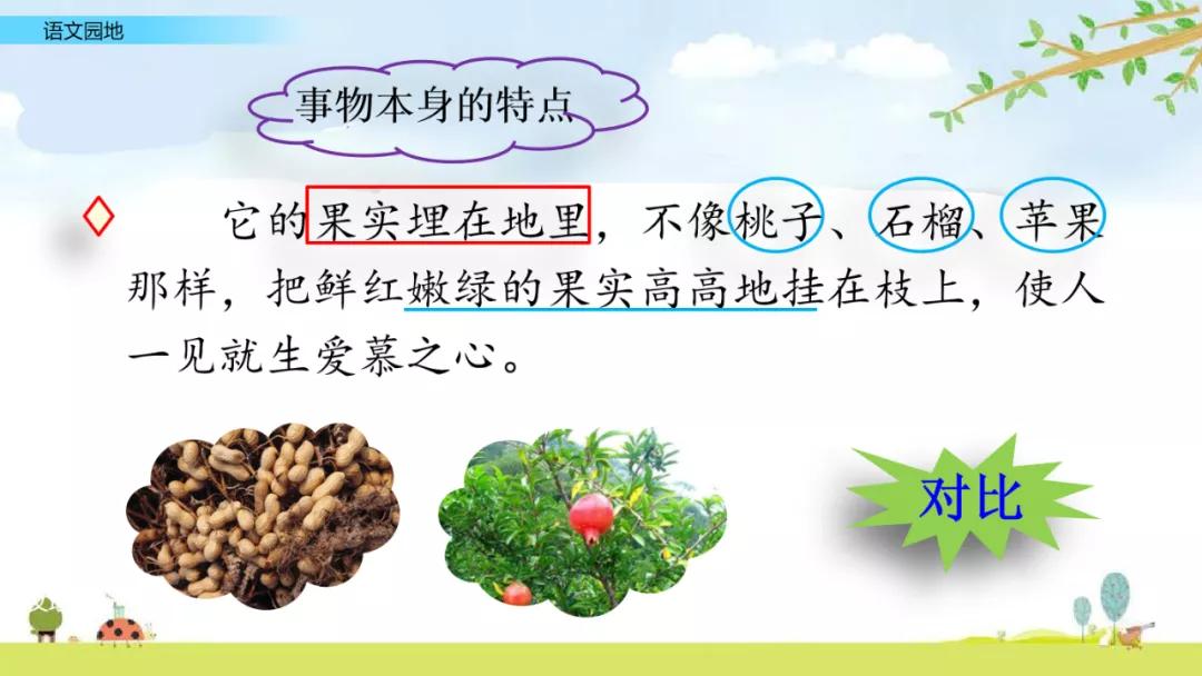 五年级上册语文园地八讲解课件ppt,部编五年级语文上册必考知识点