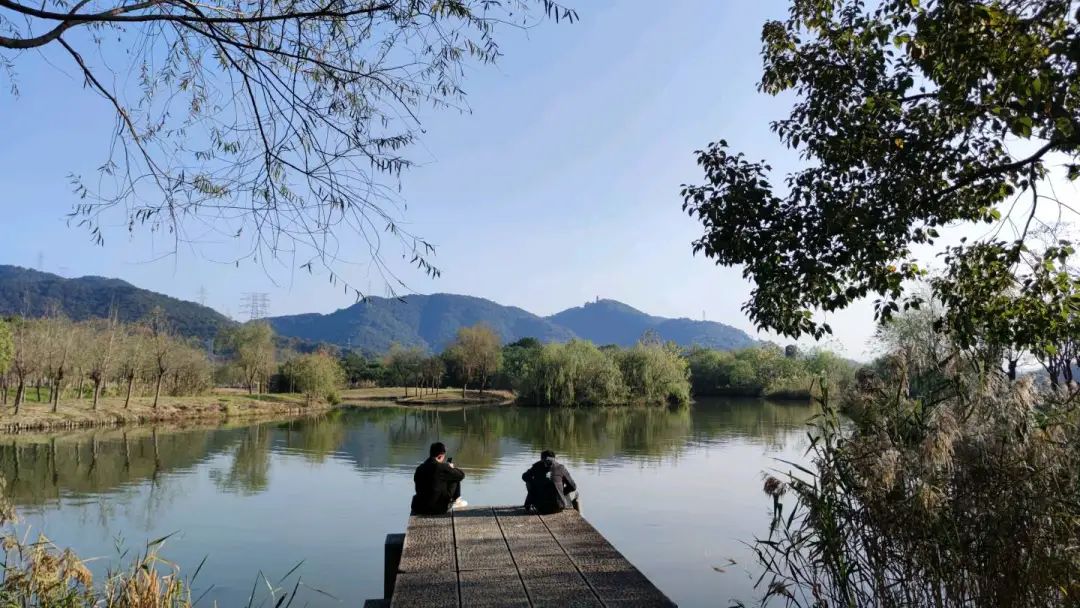一周小结文字图片,小学一周小结怎么写