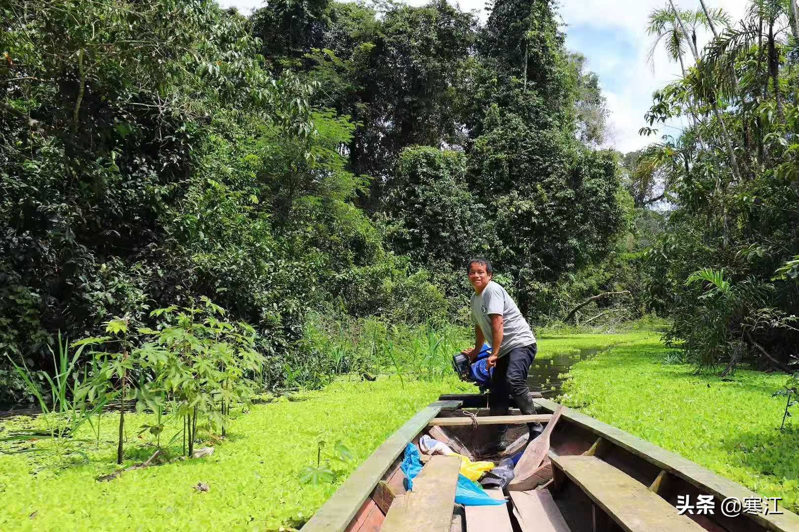 亚马逊热带雨林食人花奇妙之旅,去亚马逊热带雨林探险