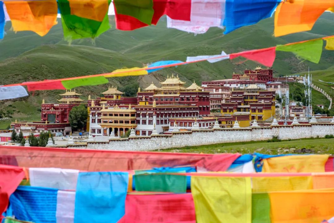 丁真和四川什么关系,丁真背后是谁