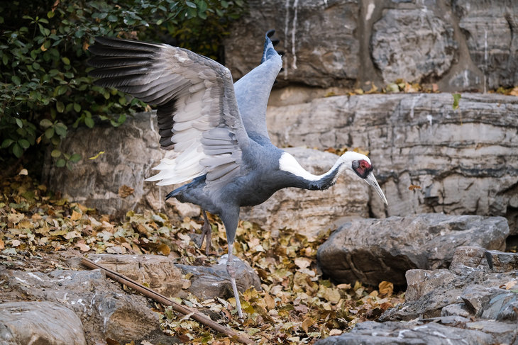 富士xt3有哪些变焦镜头推荐,富士x-t30xc35套机拍照