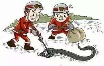 在福建福州蛇特别多有什么征兆,福州市出现蛇