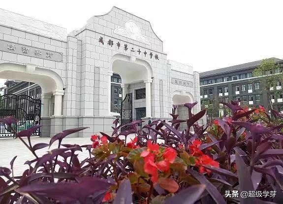 金牛区教育不咋行,老牌名校已没落?幼儿园到高中怎么选?