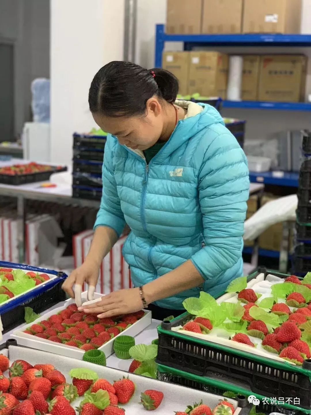 苹果怎么防止边缘误触,苹果如何防止碰伤