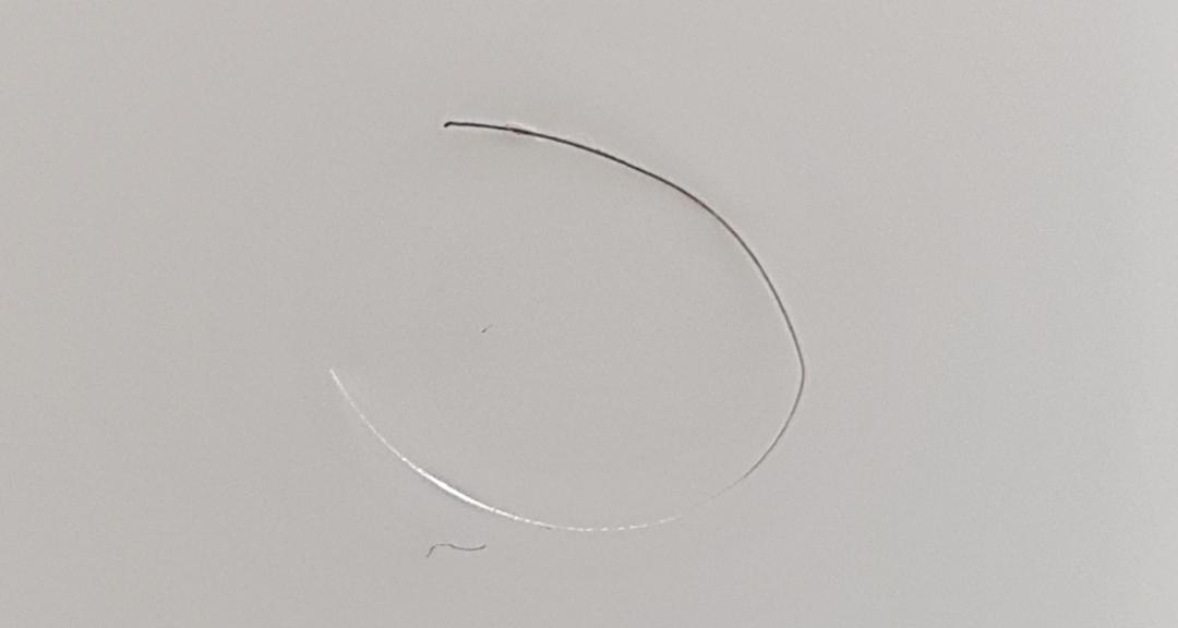 特朗普一夜白发,特朗普白头