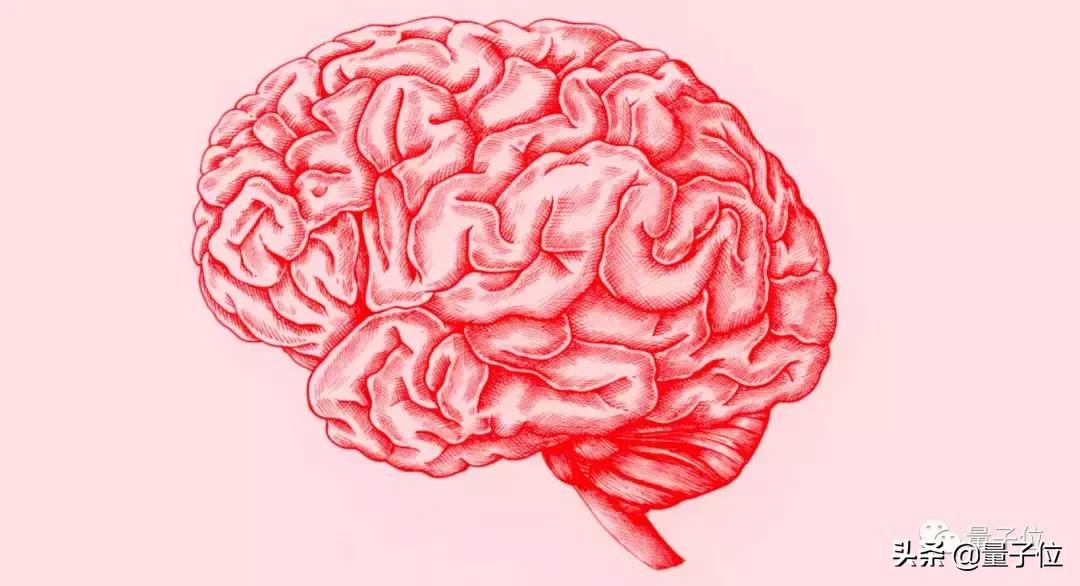 最强读心术！脑波直接转语音，你的秘密已无处藏身｜Nature子刊