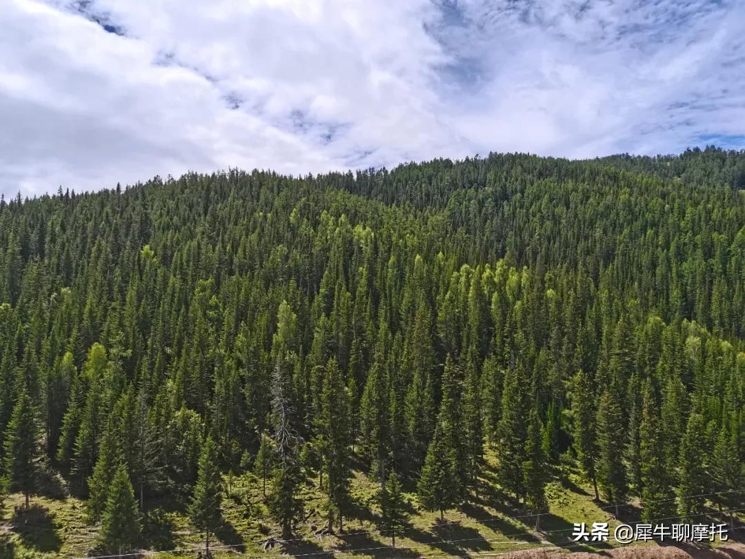 500ds杞︿富,鏂版530杞︿富鍗佷竾鍏噷鐪熷疄閲囪