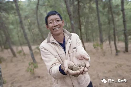 地道美味松露,世界三大美食松露是什么