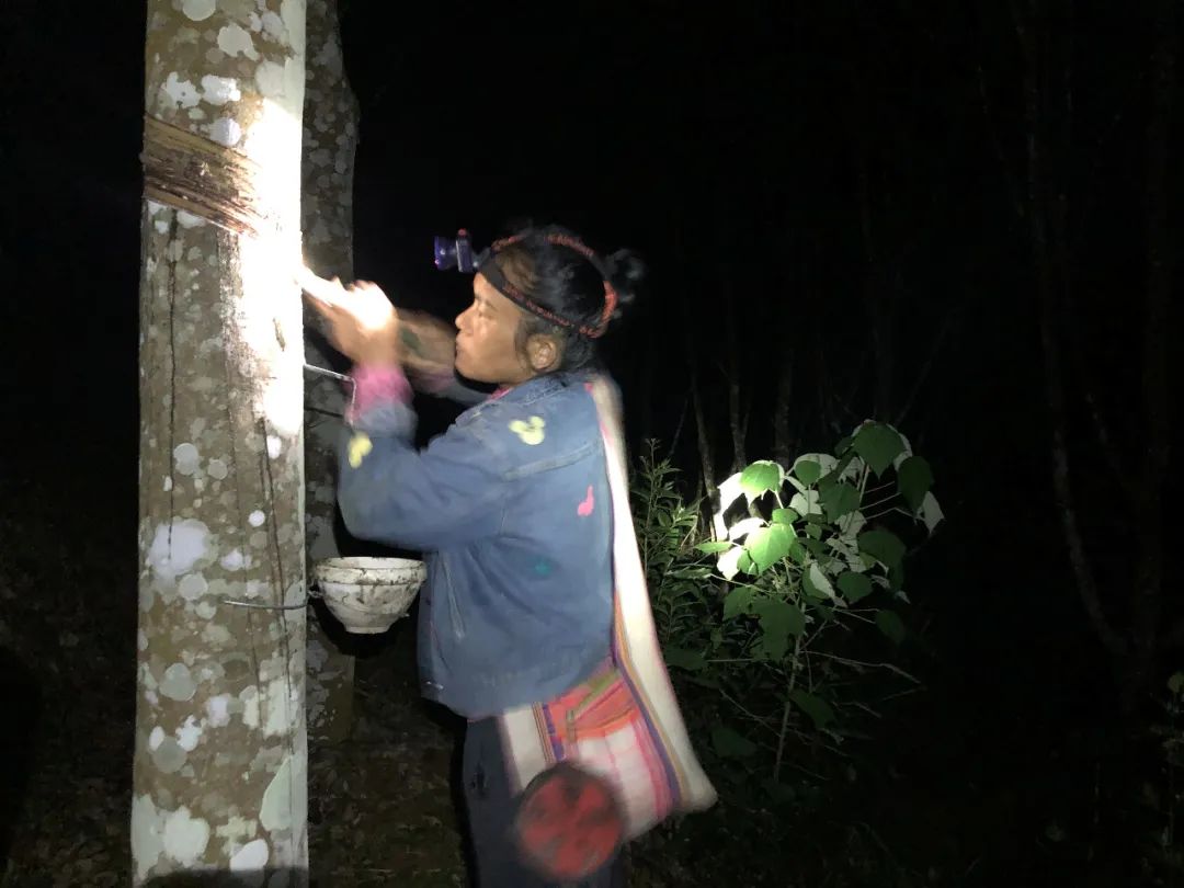 GQ报道,gq报道号