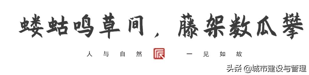 草树青翠虫鸣起，一枕清凉入梦来