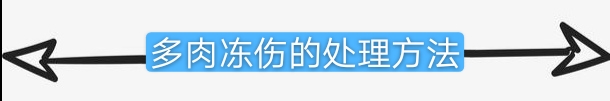 多肉冻伤的叶片要摘掉吗,多肉冻伤怎么救