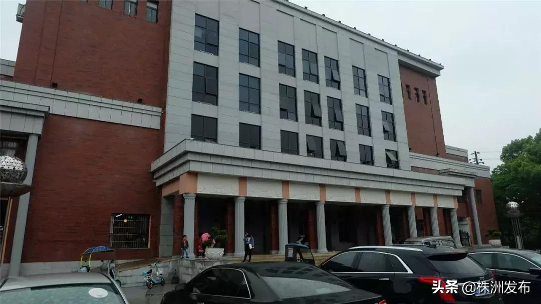 春日大自然美景视频,春日公园游玩美图视频