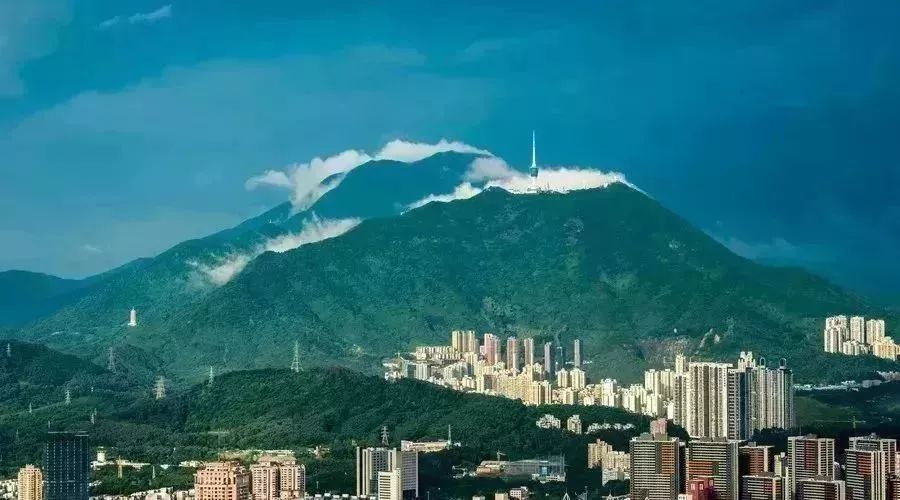 深圳免门票景点推荐,深圳市内近20个景点一票通玩