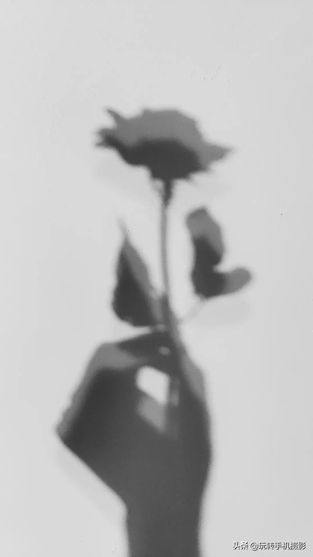 怎么拍花做壁纸,壁纸对花方法