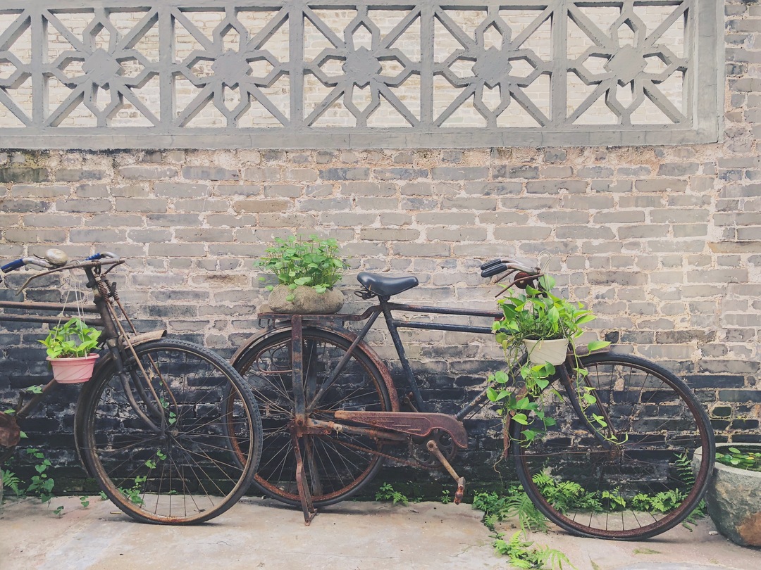 游广州番禺沙湾古镇感悟,广州沙湾古镇