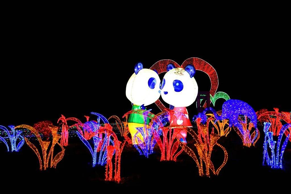 熊猫来永庆坊,鹰潭大熊猫