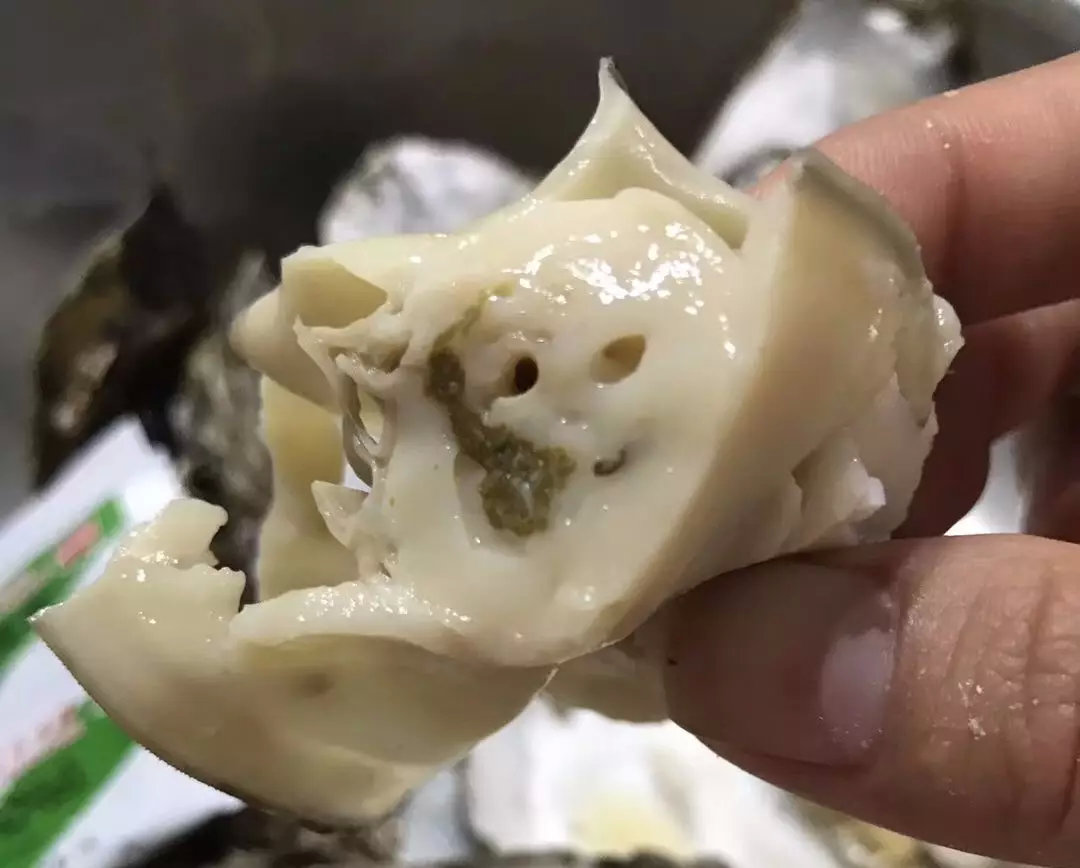 吃生蚝必须知道的20条定律,乳山牡蛎生蚝可以生吃吗