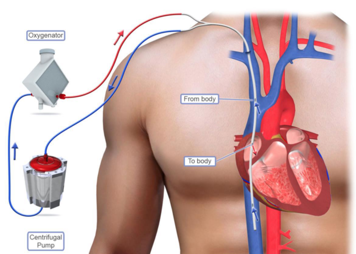 不务正业老店,不务正业3号店