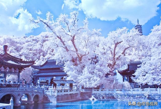 这枚“小品圣手”+吃货,从镇江飘然而过