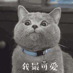 有医保为什么看病还是全款,有医保可以无医保购买保险吗