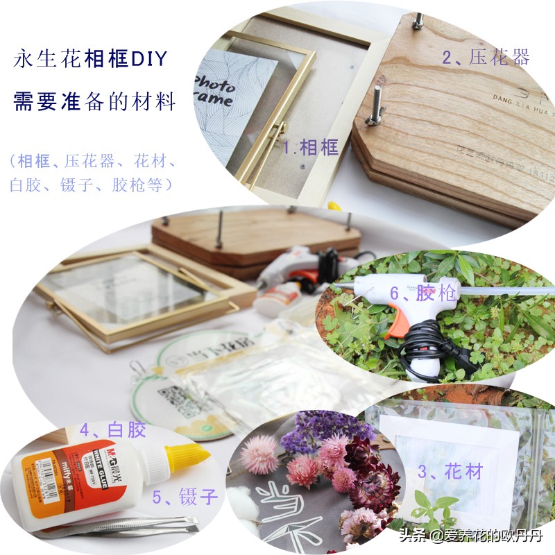 干花diy相框儿童,干花diy相框自制