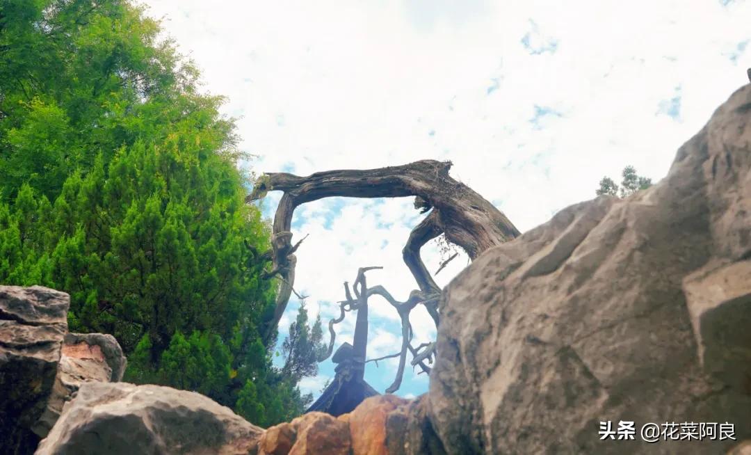 吴王阖闾陵墓上的虎丘,虎丘是吴王谁的墓