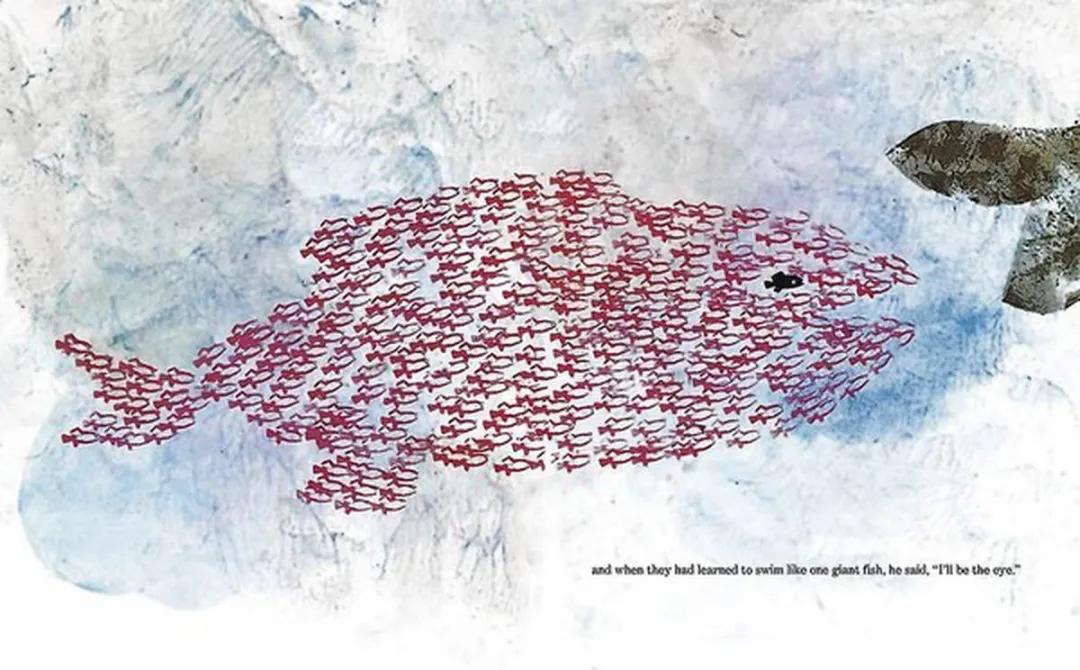 100个最经典的绘本推荐,hairyscarymonster英文绘本