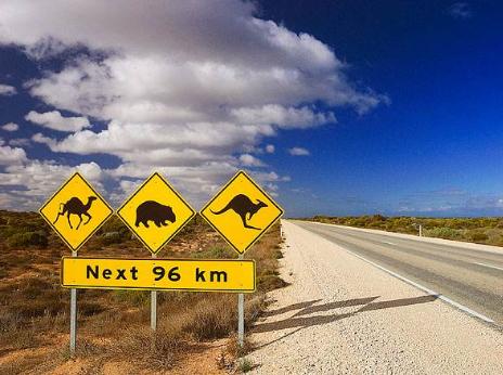 澳大利亚支柱产业或将损失943亿,澳大利亚经济走出衰退