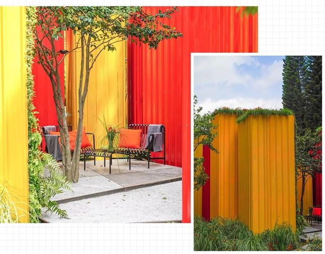 深圳史上最大最美的花展来啦,走进深圳仙湖植物园的国际花展