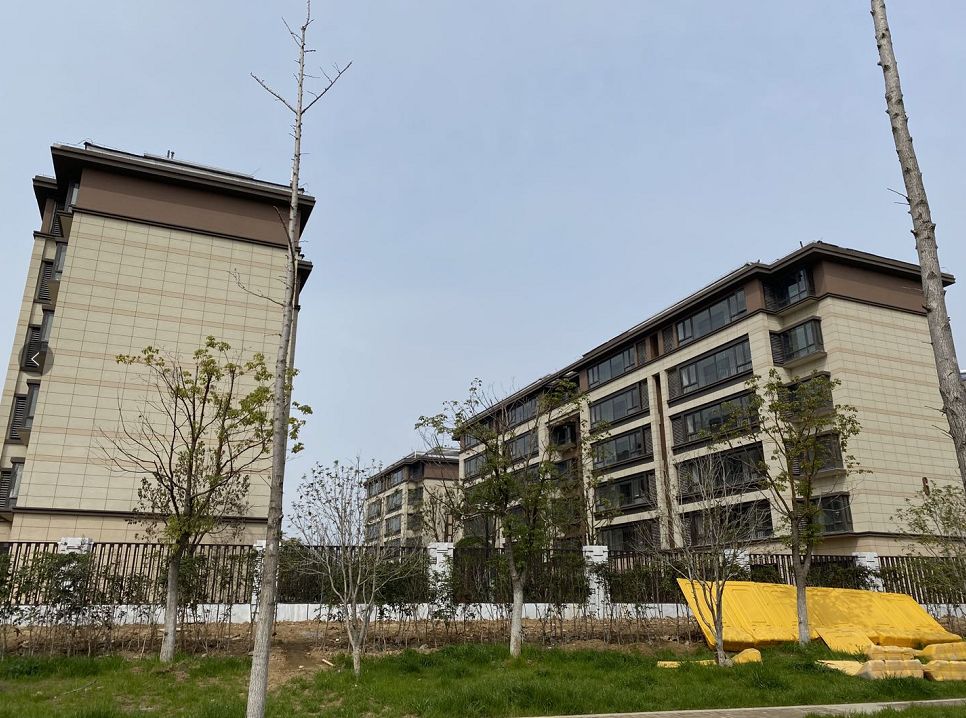 实探纯洋房新盘,谷里中建烟岚府价格