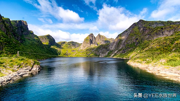 介绍一下新来的原生鱼条纹小鲃,条纹小鲃鱼什么品种最漂亮