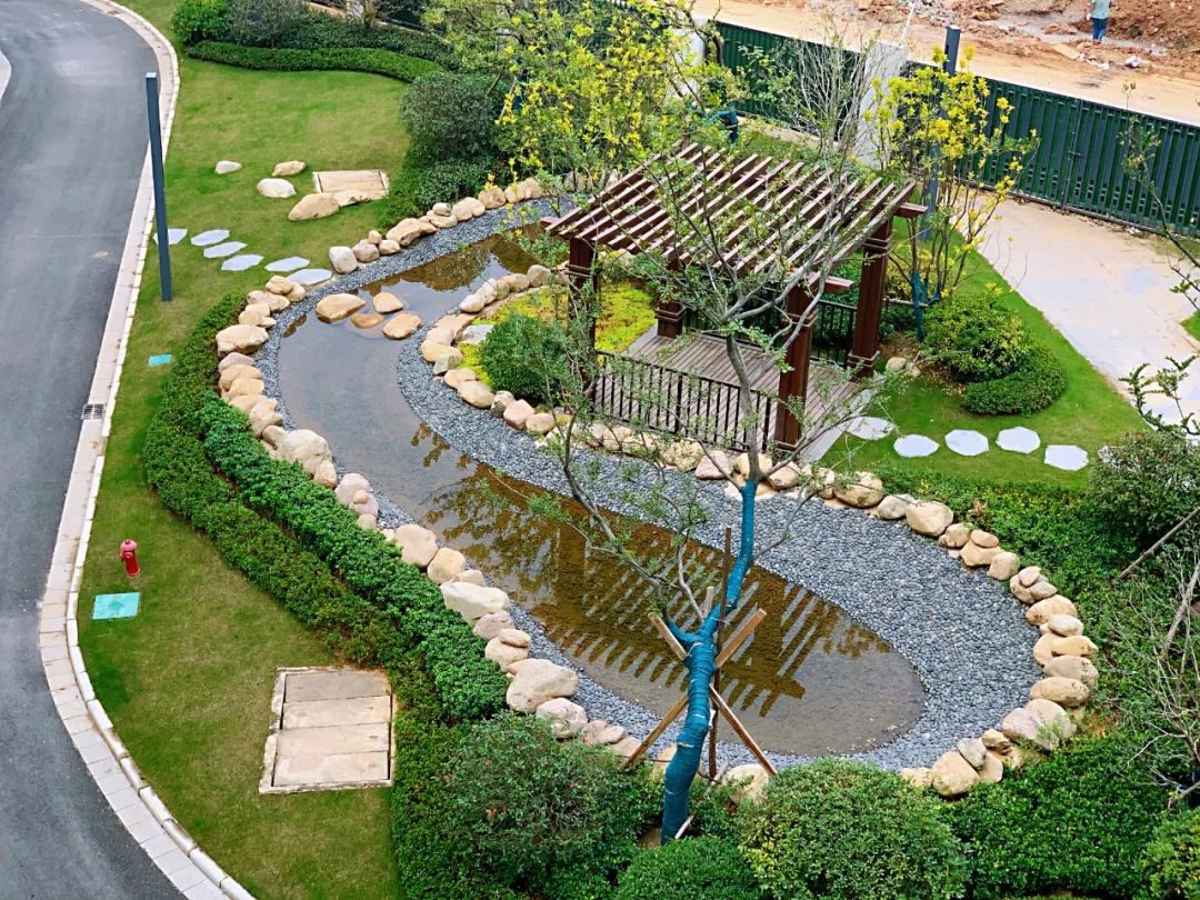 南京外国语仙林分校华侨城小学,南京仙林分校华侨城小学怎么样