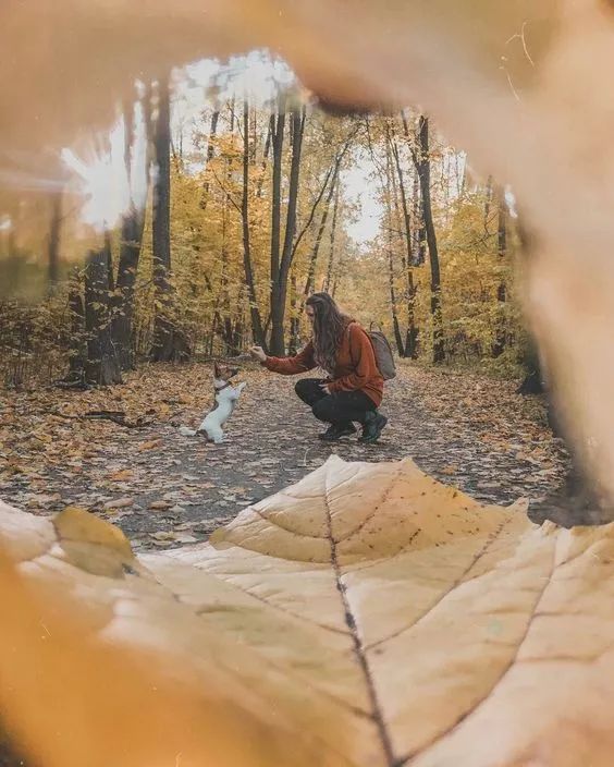 广东真的没有秋天凉吗,广东是没有秋天的吗文案