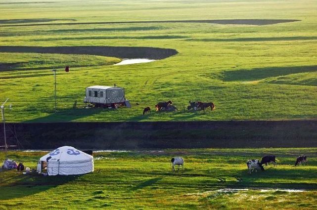 蒙古族乳糖耐受,蒙古人为啥还会乳糖不耐受