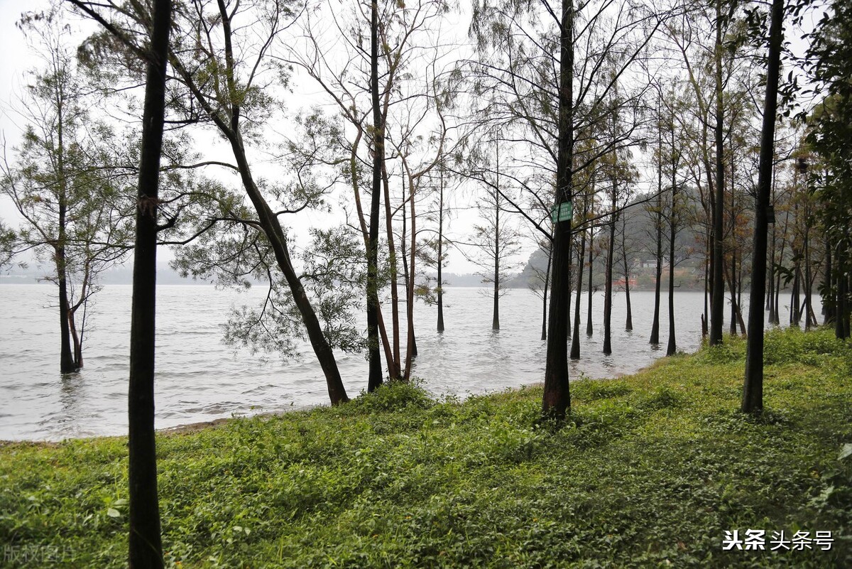 广东湛江这个城市怎么样,广东湛江市是沿海城市吗