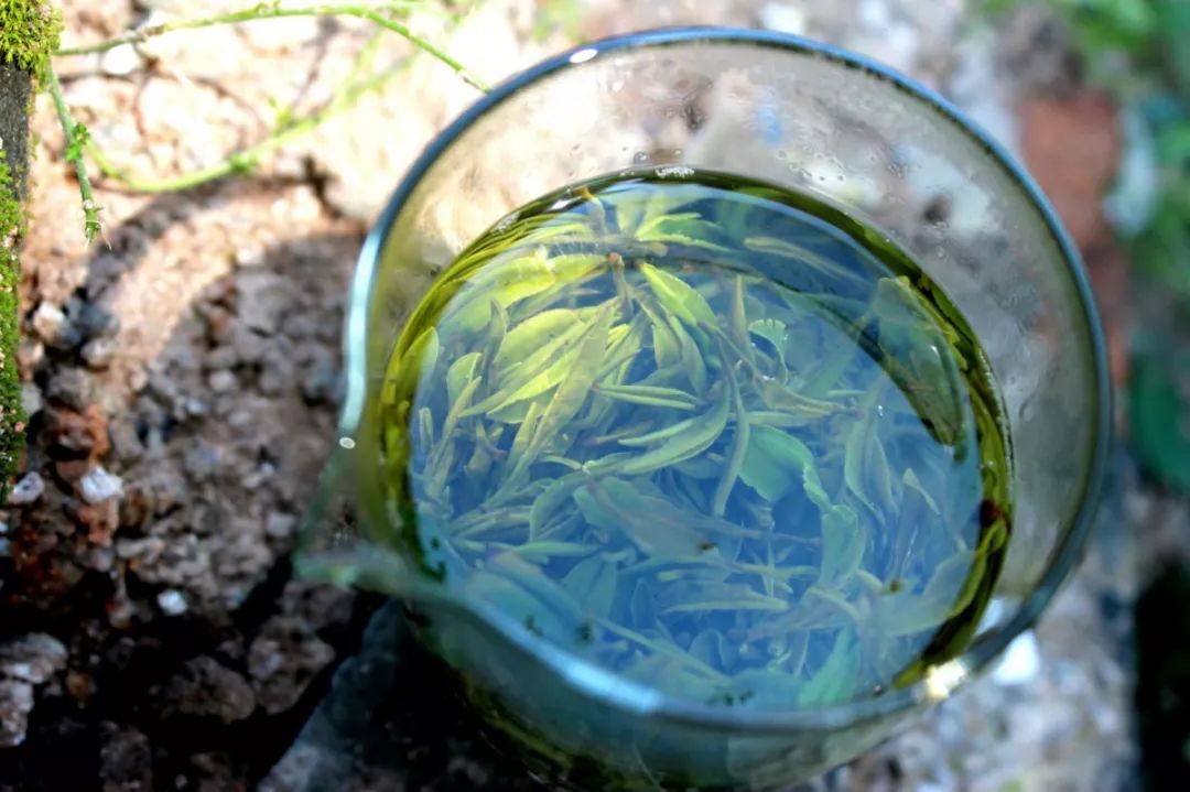 喝茶犯晕的原因,喝茶遇上犯罪分子