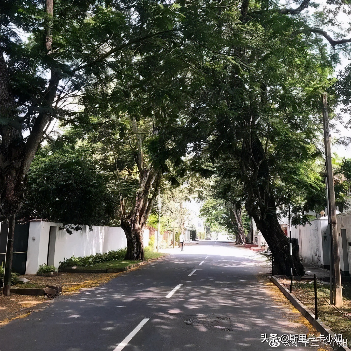 疫情期间的海外生活,疫情海外生活日记