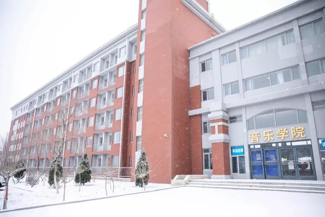 民办学校大连艺术学院全国排名,大连艺术学院辽宁排名