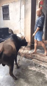 小众奢侈品手链,适合情侣用的奢侈品手链