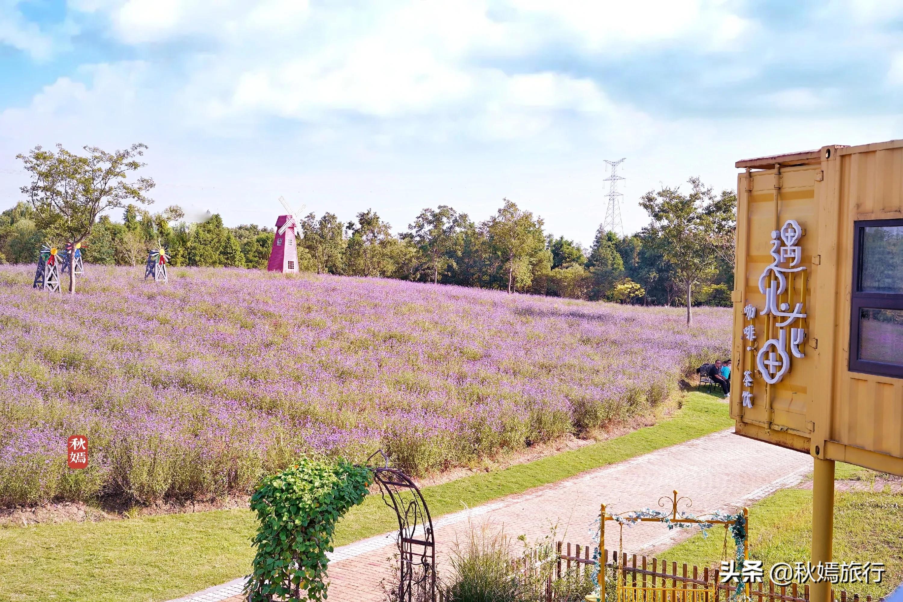 苏州吴中太湖新城苏州湾湿地公园,苏州湿地免费公园虎丘