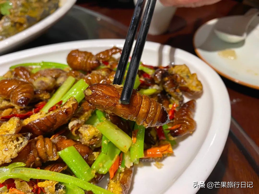 吉林省会长春名字的由来,你对长春的印象